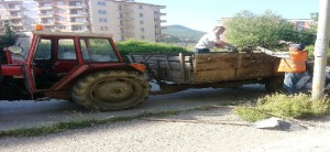 20130530_081703